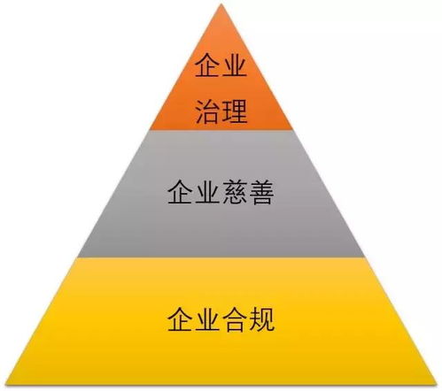 社會(huì)問(wèn)題驅(qū)動(dòng)商業(yè)創(chuàng)新 MSC咨詢創(chuàng)始人兼CEO譚亞幸的社會(huì)經(jīng)濟(jì)咨詢服務(wù)探索