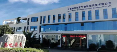 2019年云南十大名品出爐 云南軟件開(kāi)發(fā)行業(yè)蓬勃發(fā)展